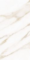 Classy Warm White Matte 12 x 24